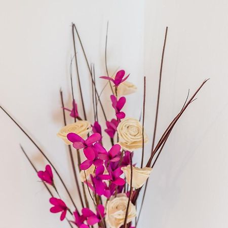Ana Apartment تْسافتات المظهر الخارجي الصورة